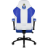 Cadeira Gaming ThunderX3 EAZE - FC Porto Edition